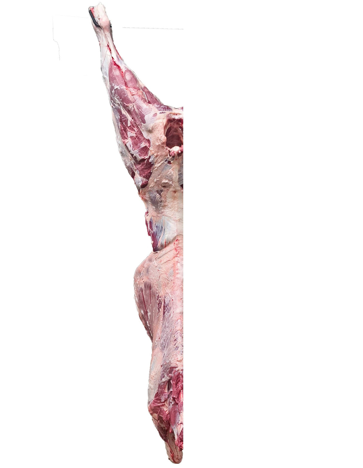 Beef half carcass CHRISTIAN