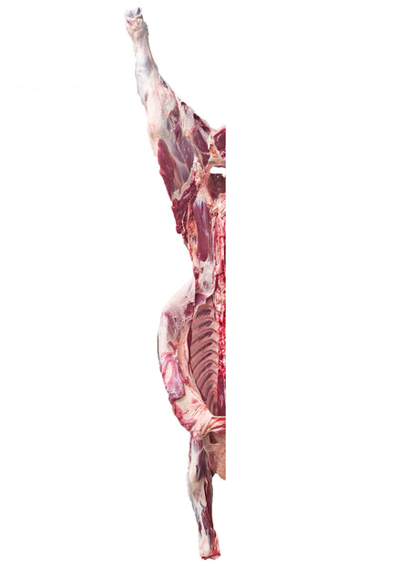 Beef half carcass CHRISTIAN
