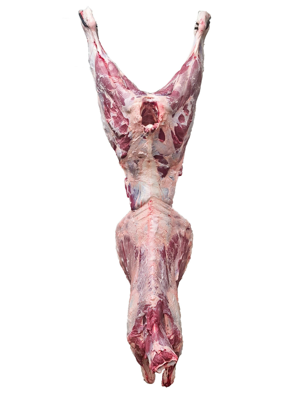 Beef whole carcass CHRISTIAN
