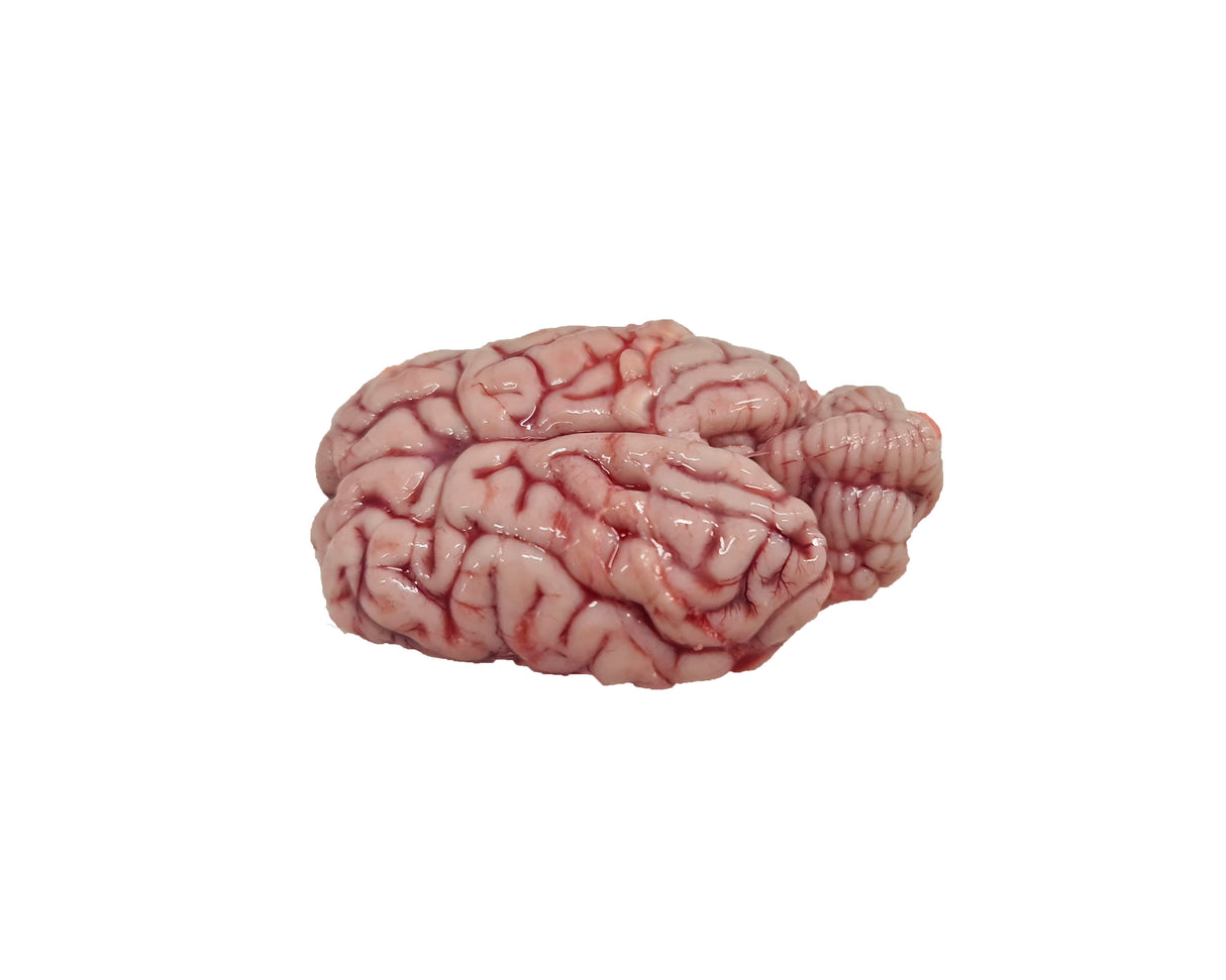 Goat Brain CHRISTIAN