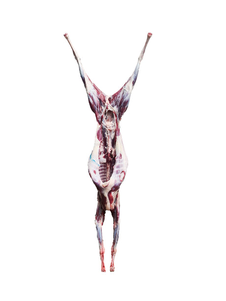 Goat whole carcass CHRISTIAN