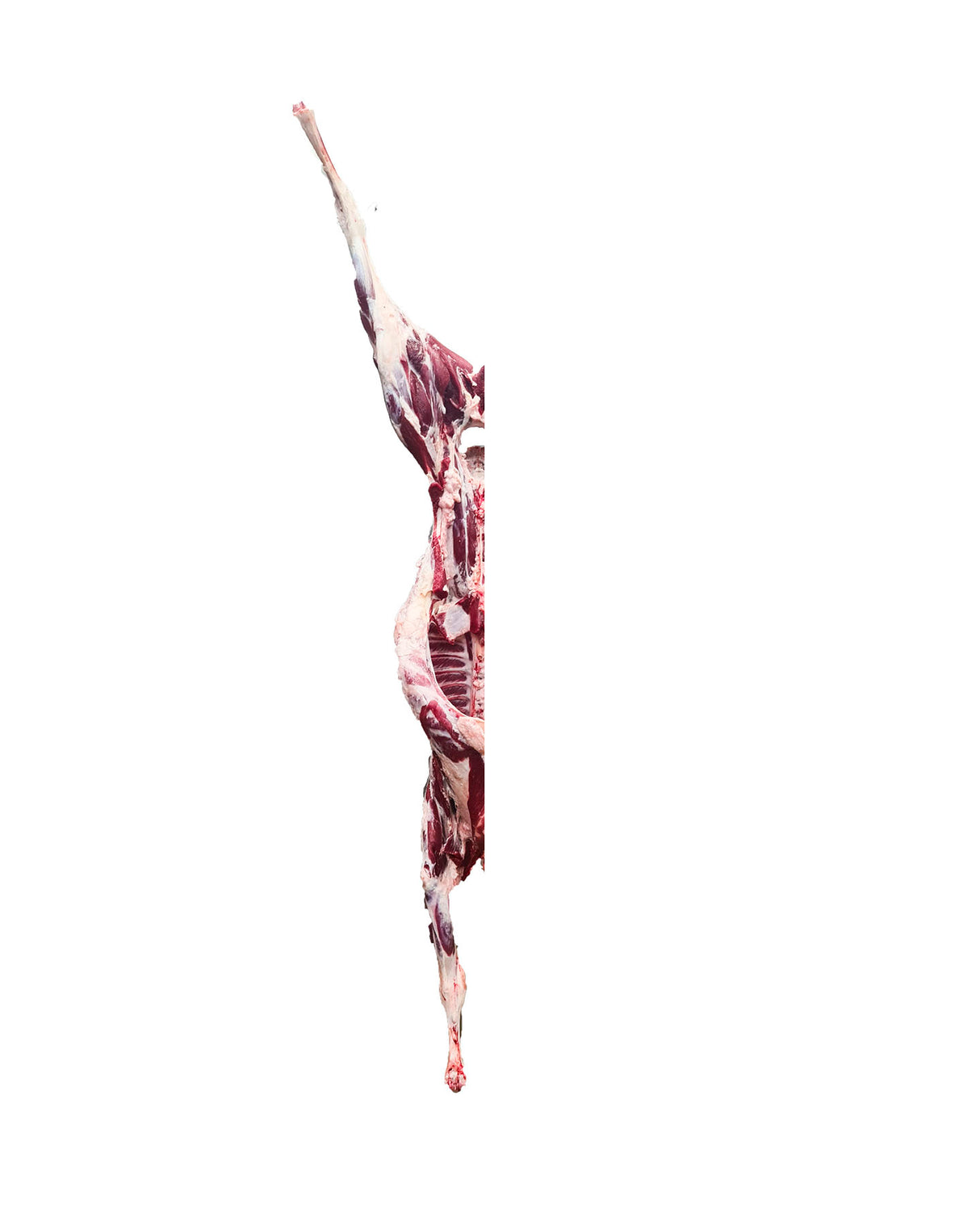Lamb half carcass CHRISTIAN