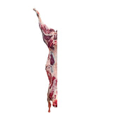 Lamb half carcass CHRISTIAN
