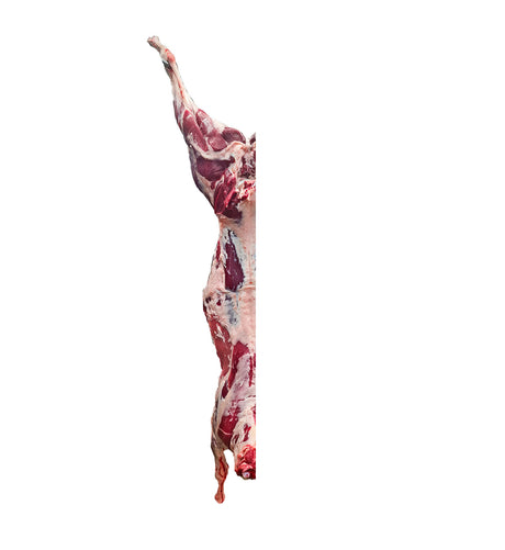 Lamb half carcass CHRISTIAN