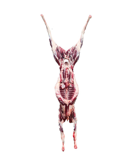 Lamb whole carcass CHRISTIAN