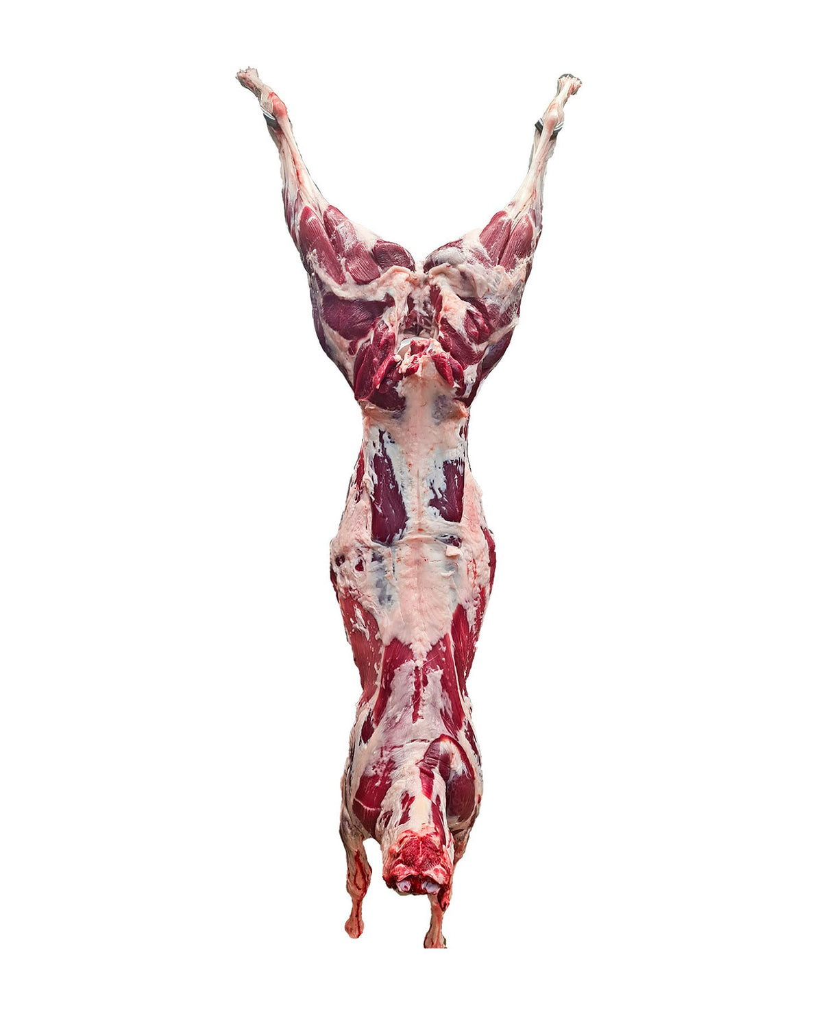 Lamb whole carcass CHRISTIAN