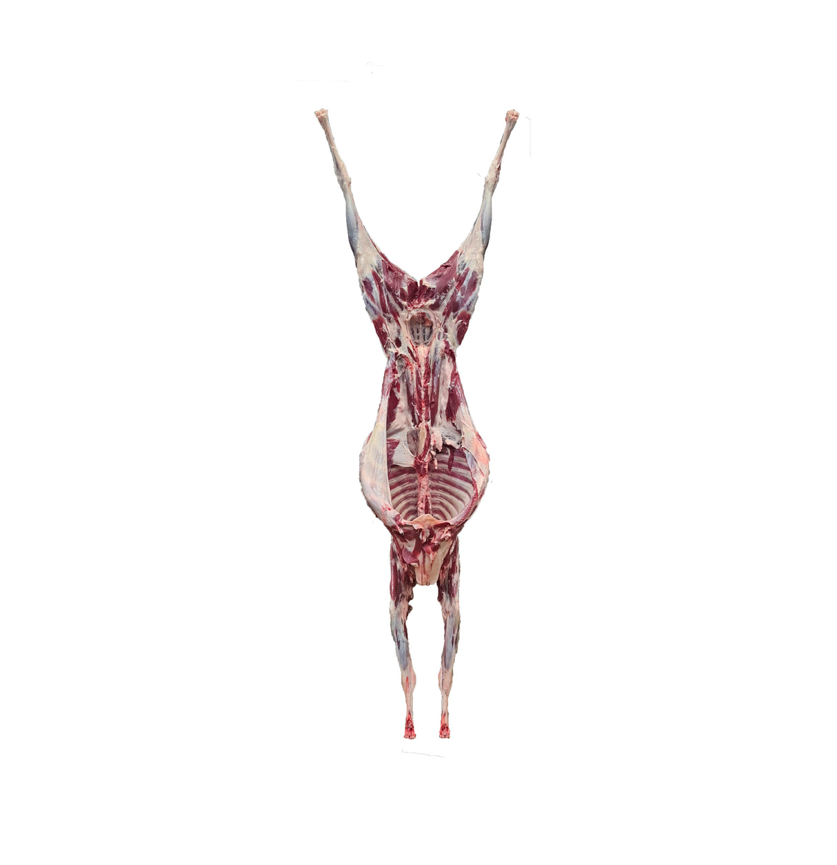 Sheep whole carcass CHRISTIAN
