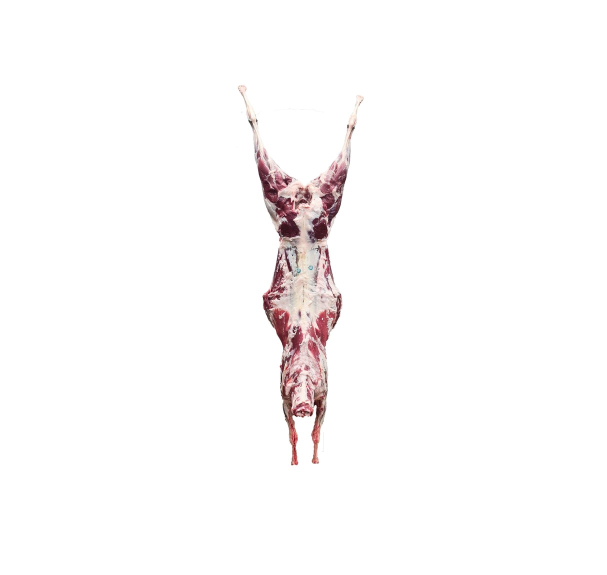Sheep whole carcass CHRISTIAN