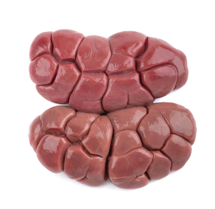 Beef Kidneys CHRISTIAN