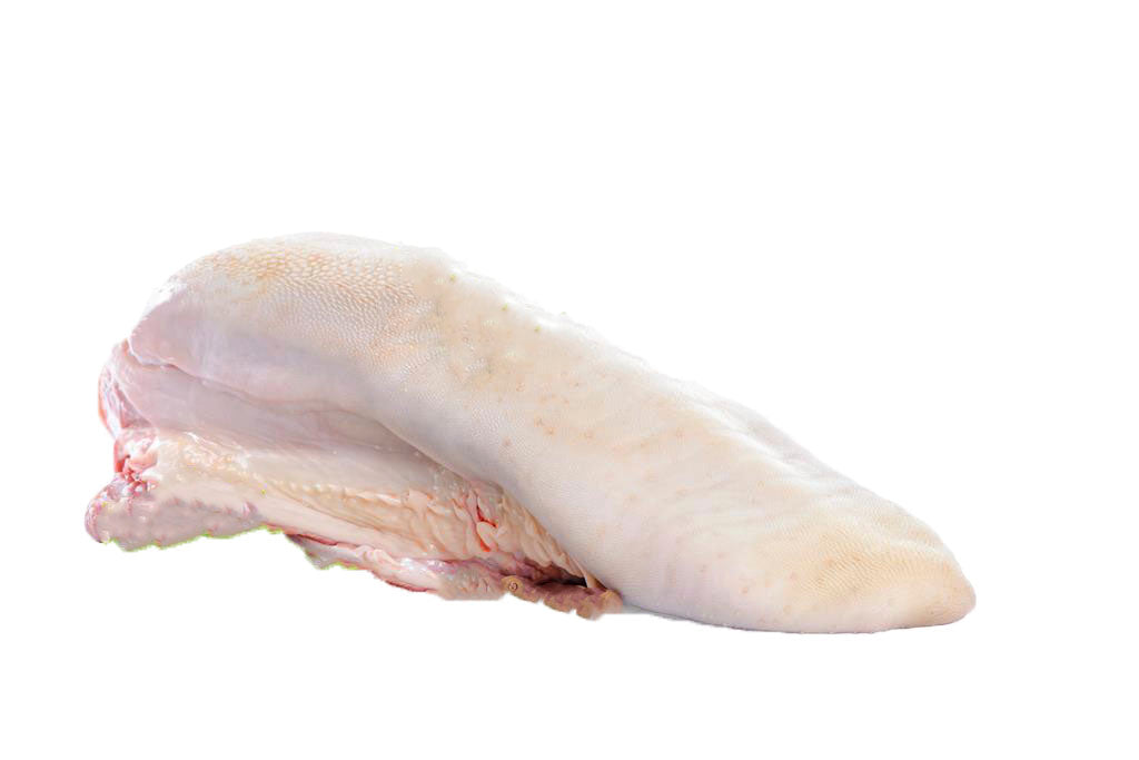 Lamb Tongue CHRISTIAN